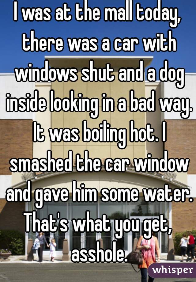 I was at the mall today, there was a car with windows shut and a dog inside looking in a bad way. It was boiling hot. I smashed the car window and gave him some water. That's what you get,  asshole.