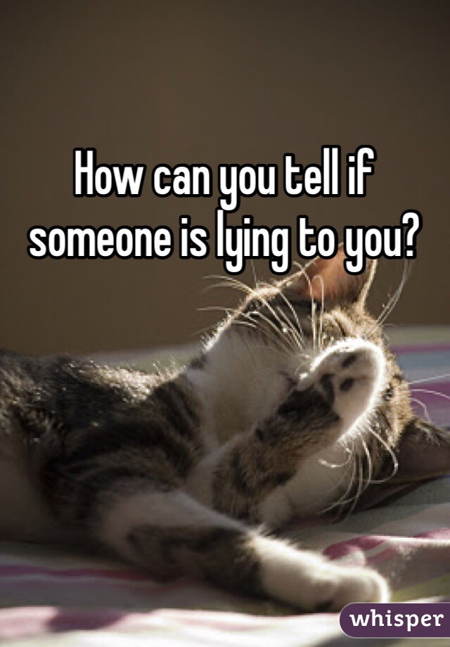 How can you tell if someone is lying to you? 