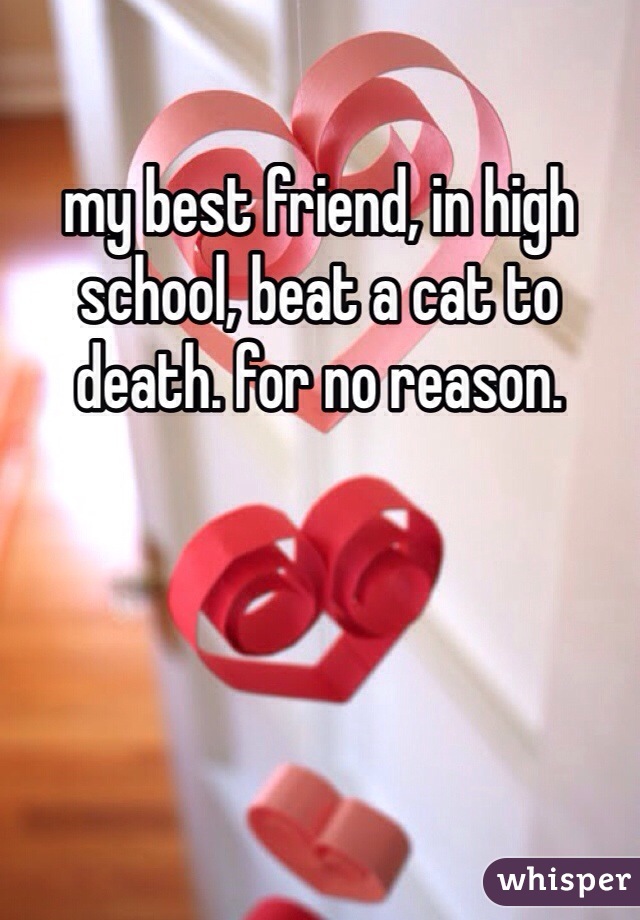 my best friend, in high school, beat a cat to death. for no reason. 