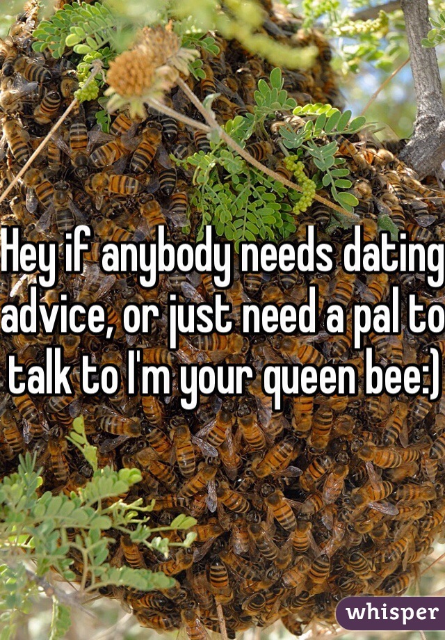 Hey if anybody needs dating advice, or just need a pal to talk to I'm your queen bee:) 