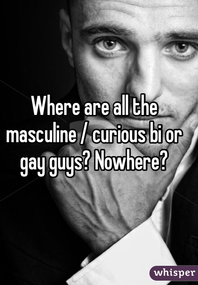 Where are all the masculine / curious bi or gay guys? Nowhere? 