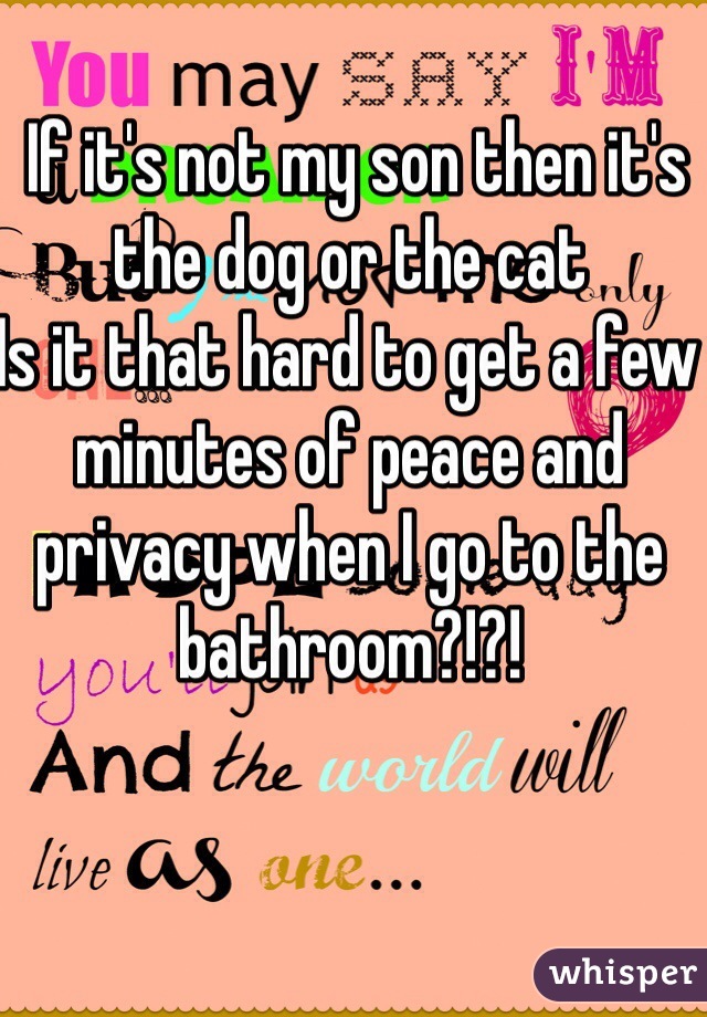  If it's not my son then it's the dog or the cat 
Is it that hard to get a few minutes of peace and privacy when I go to the bathroom?!?!