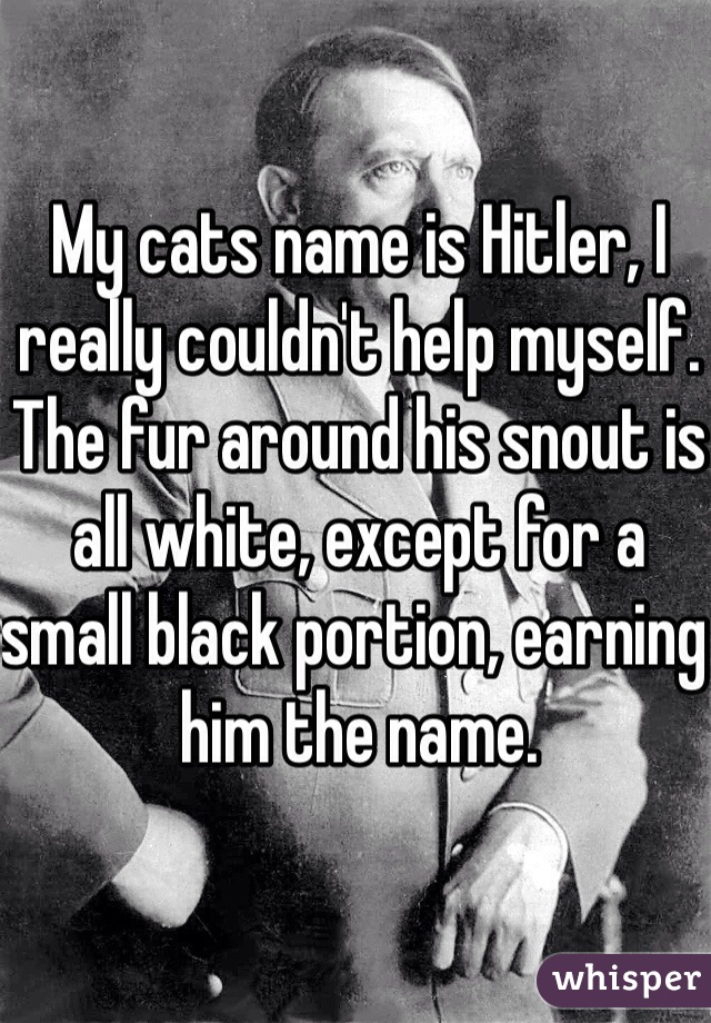 My cats name is Hitler, I really couldn't help myself. The fur around his snout is all white, except for a small black portion, earning him the name. 