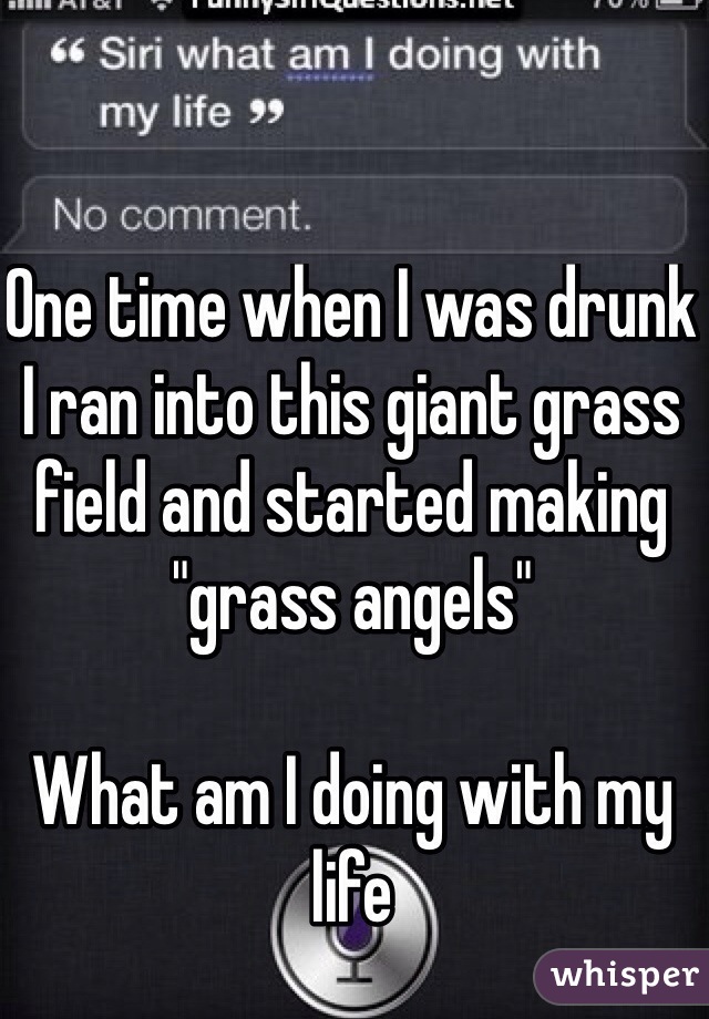 One time when I was drunk I ran into this giant grass field and started making "grass angels"

What am I doing with my life 