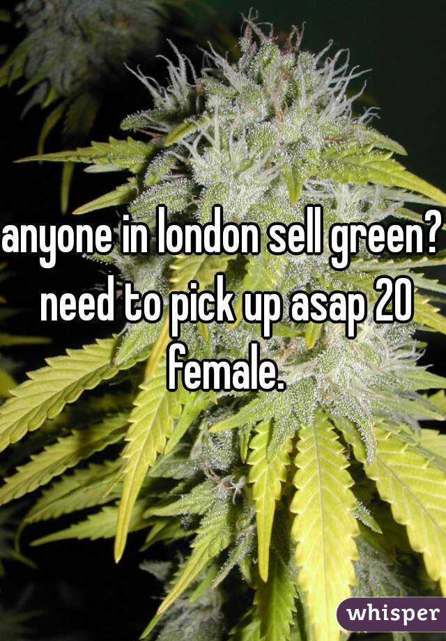 anyone in london sell green? need to pick up asap 20 female.