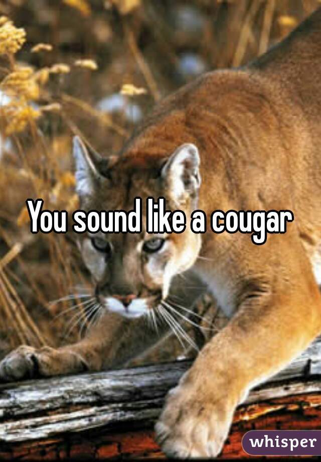 You sound like a cougar