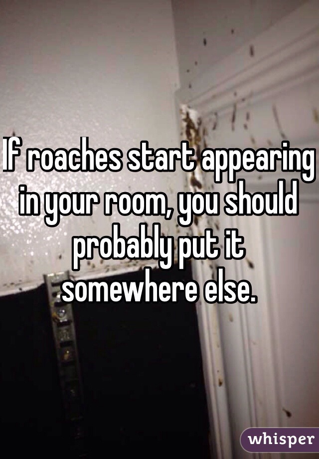 If roaches start appearing in your room, you should probably put it somewhere else. 