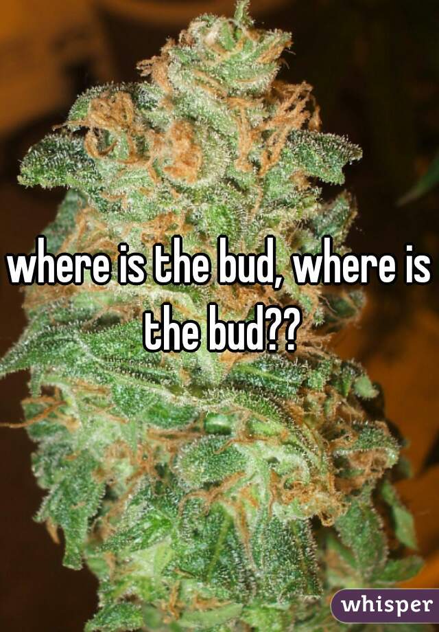 where is the bud, where is the bud??