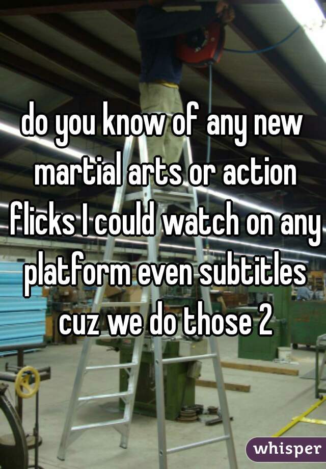 do you know of any new martial arts or action flicks I could watch on any platform even subtitles cuz we do those 2