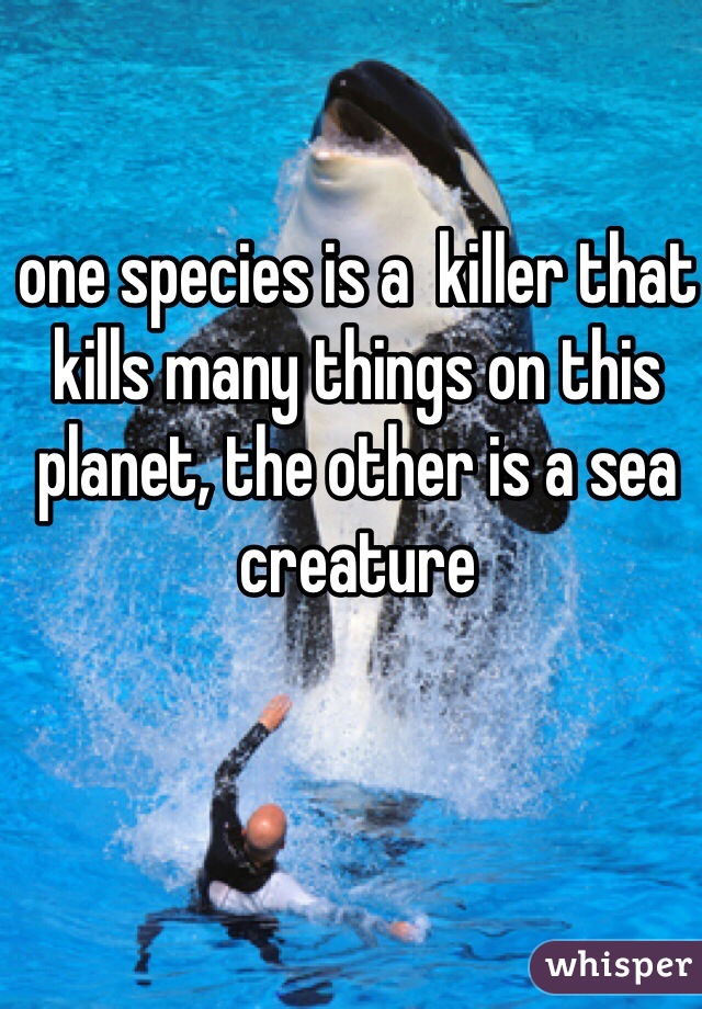 one species is a  killer that kills many things on this planet, the other is a sea creature 