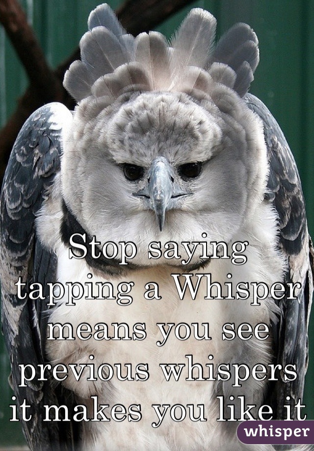 Stop saying tapping a Whisper means you see previous whispers it makes you like it