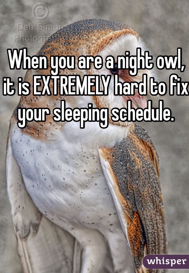 When you are a night owl, it is EXTREMELY hard to fix your sleeping schedule.  
