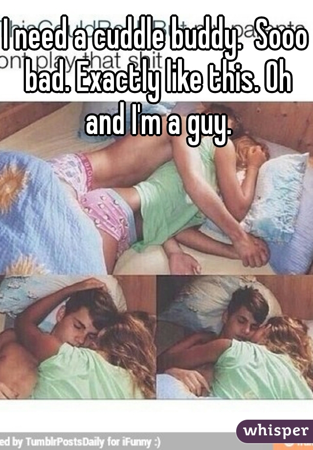 I need a cuddle buddy.  Sooo bad. Exactly like this. Oh and I'm a guy.