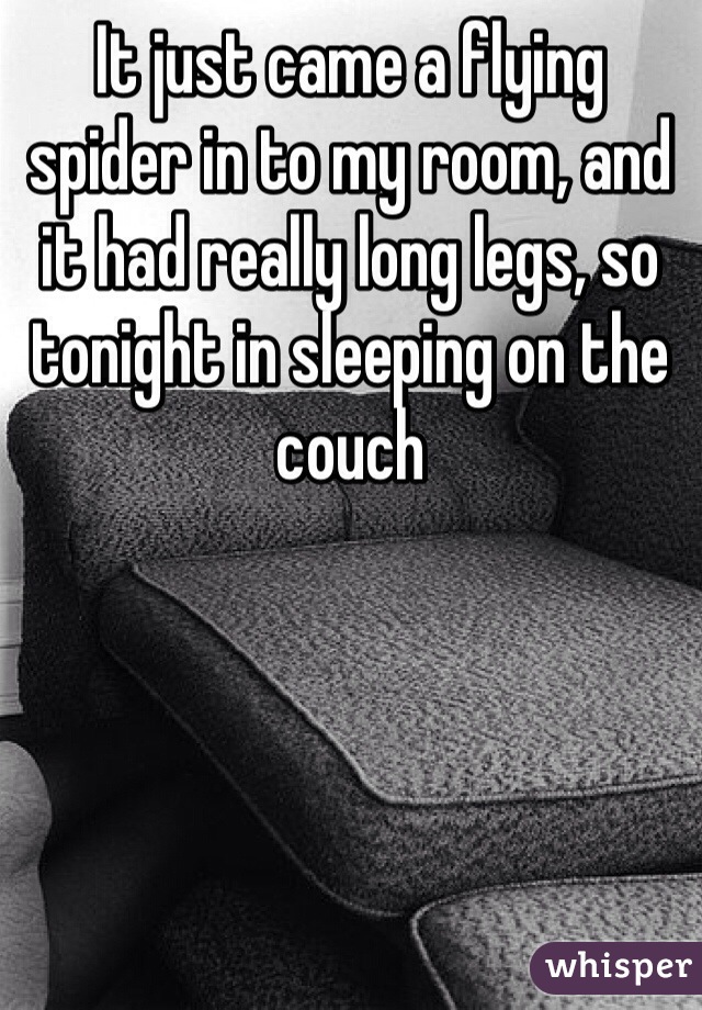 It just came a flying spider in to my room, and it had really long legs, so tonight in sleeping on the couch