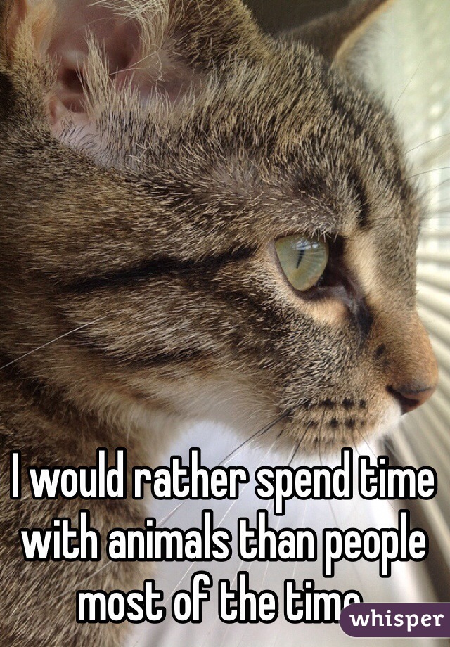 I would rather spend time with animals than people most of the time.