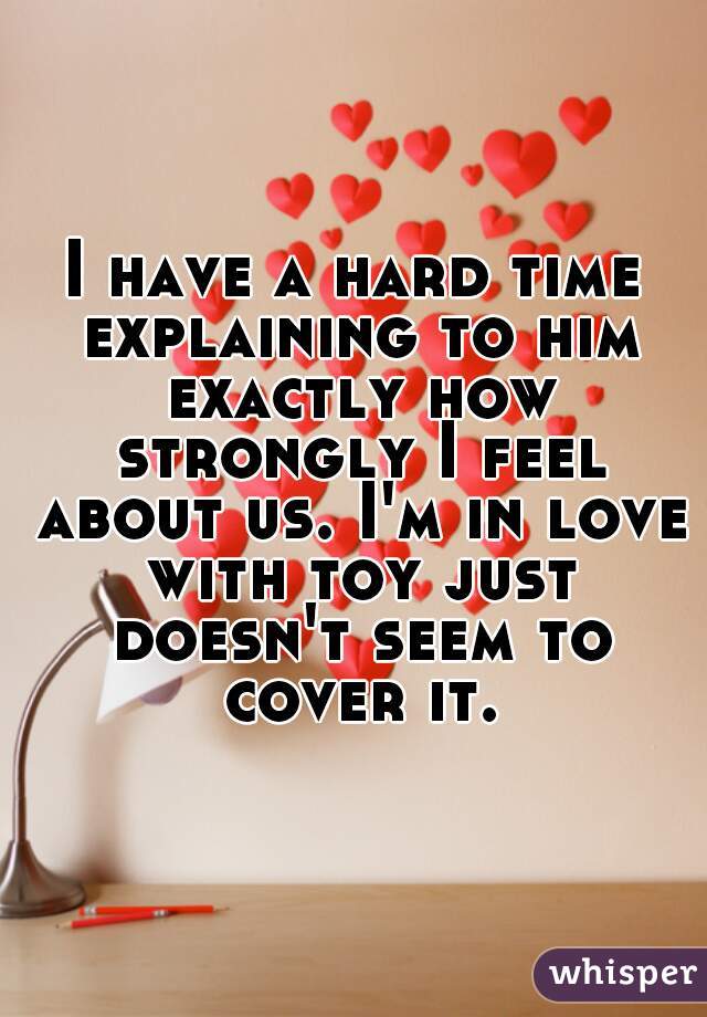 I have a hard time explaining to him exactly how strongly I feel about us. I'm in love with toy just doesn't seem to cover it.