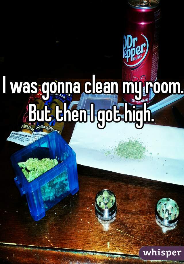 I was gonna clean my room. 
But then I got high. 