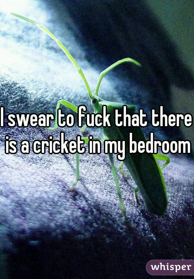 I swear to fuck that there is a cricket in my bedroom
