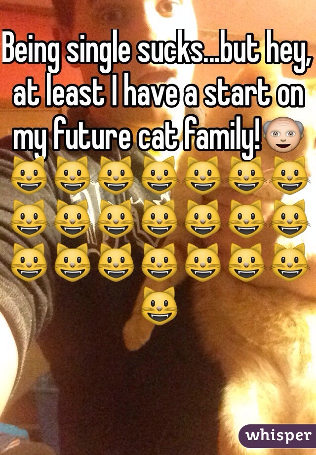 Being single sucks...but hey, at least I have a start on my future cat family!👴😺😺😺😺😺😺😺😺😺😺😺😺😺😺😺😺😺😺😺😺😺😺