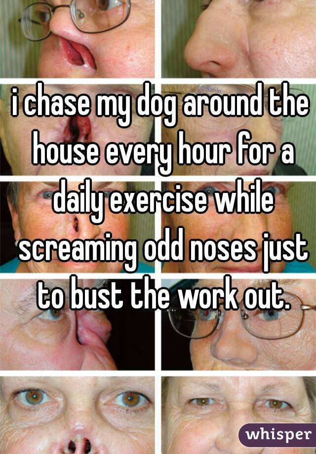 i chase my dog around the house every hour for a daily exercise while screaming odd noses just to bust the work out.