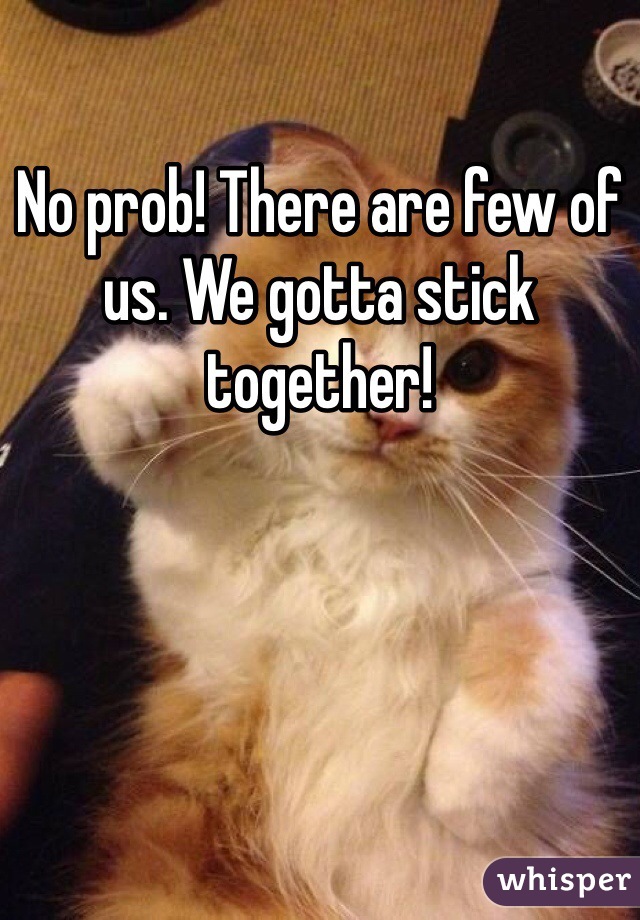 No prob! There are few of us. We gotta stick together!