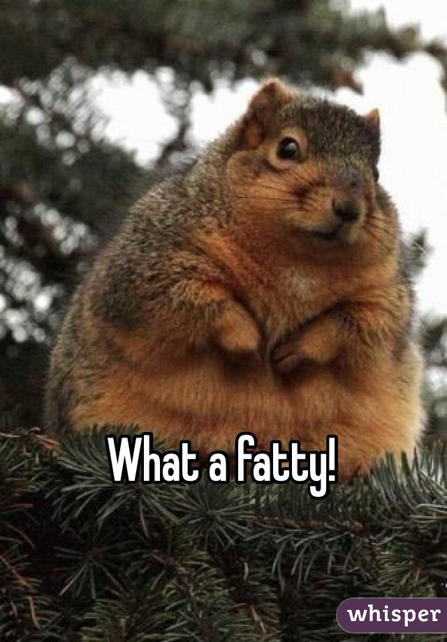 What a fatty!