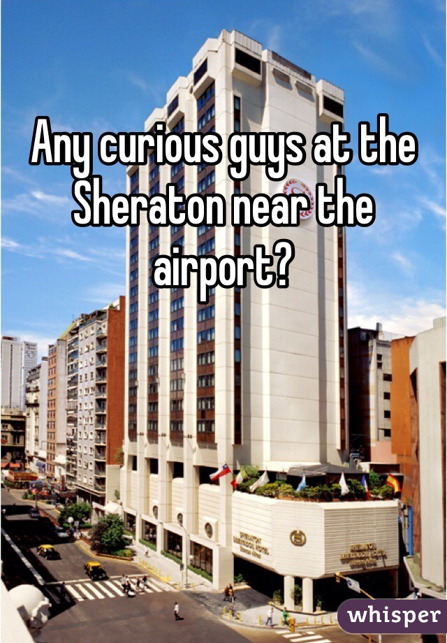 Any curious guys at the Sheraton near the airport?