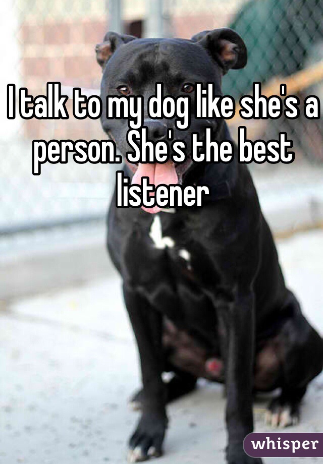 I talk to my dog like she's a person. She's the best listener 