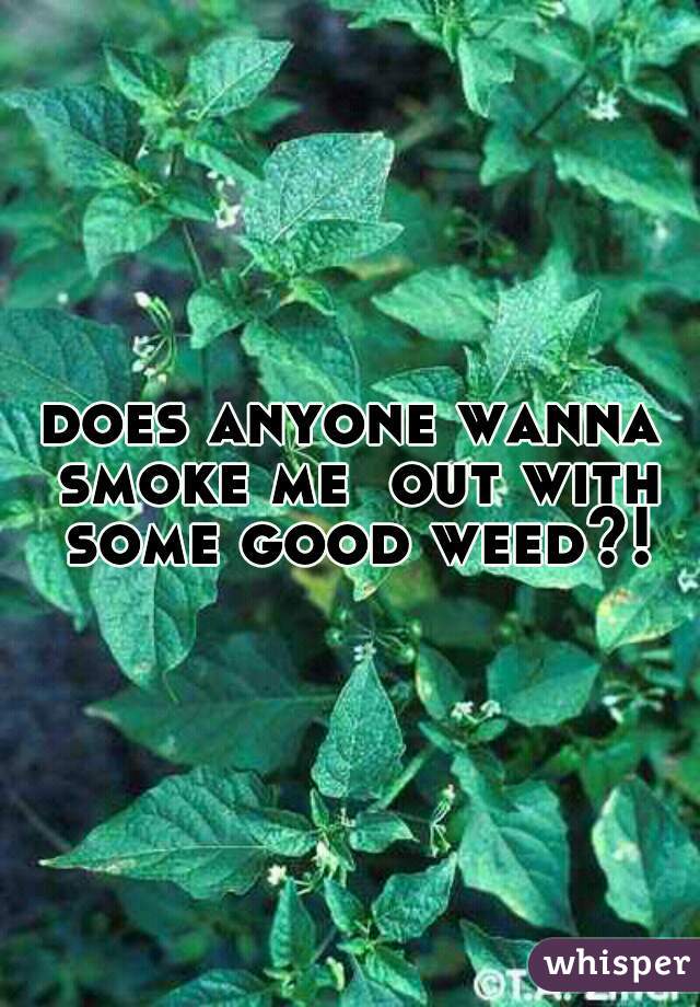 does anyone wanna smoke me  out with some good weed?!
