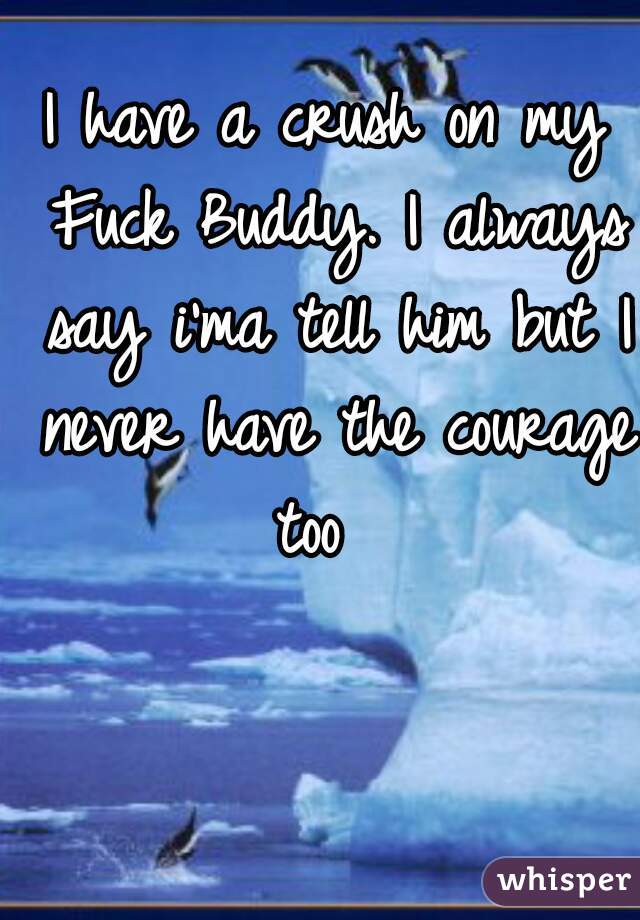 I have a crush on my Fuck Buddy. I always say i'ma tell him but I never have the courage too  