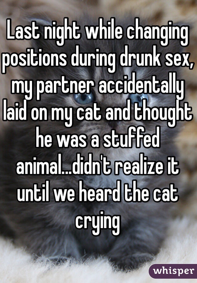 Last night while changing positions during drunk sex, my partner accidentally laid on my cat and thought he was a stuffed animal...didn't realize it until we heard the cat crying