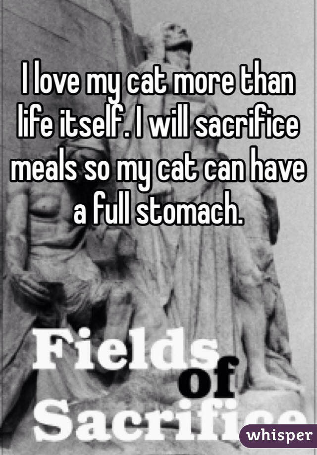 I love my cat more than life itself. I will sacrifice meals so my cat can have a full stomach. 