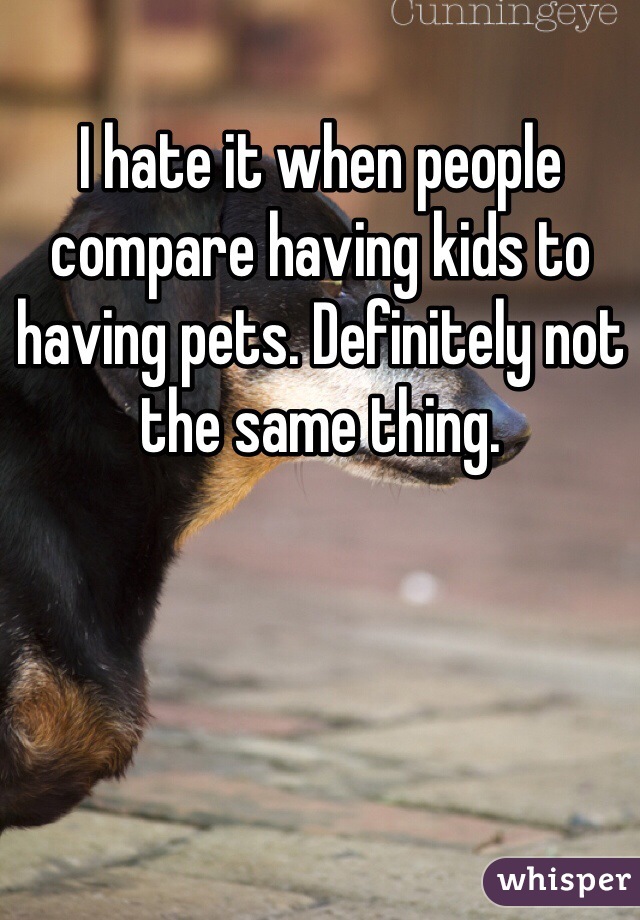 I hate it when people compare having kids to having pets. Definitely not the same thing.