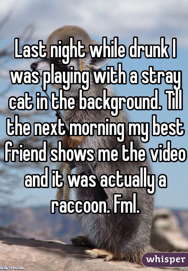Last night while drunk I was playing with a stray cat in the background. Till the next morning my best friend shows me the video and it was actually a raccoon. Fml.