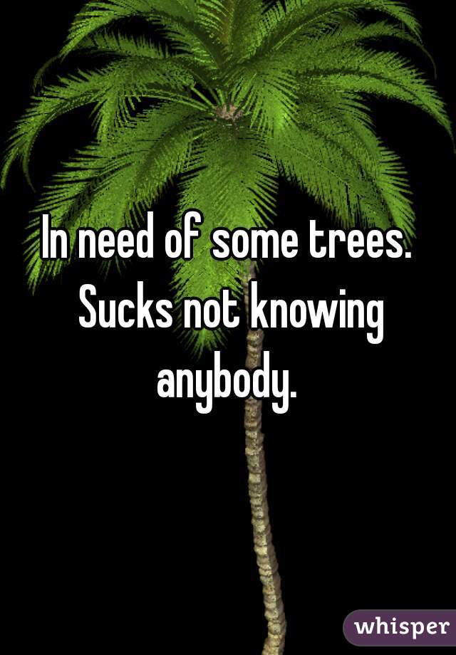 In need of some trees. Sucks not knowing anybody. 