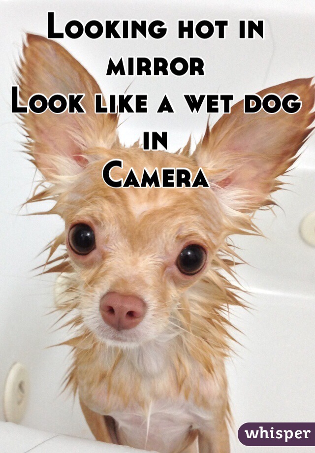 Looking hot in mirror  
Look like a wet dog in 
Camera  