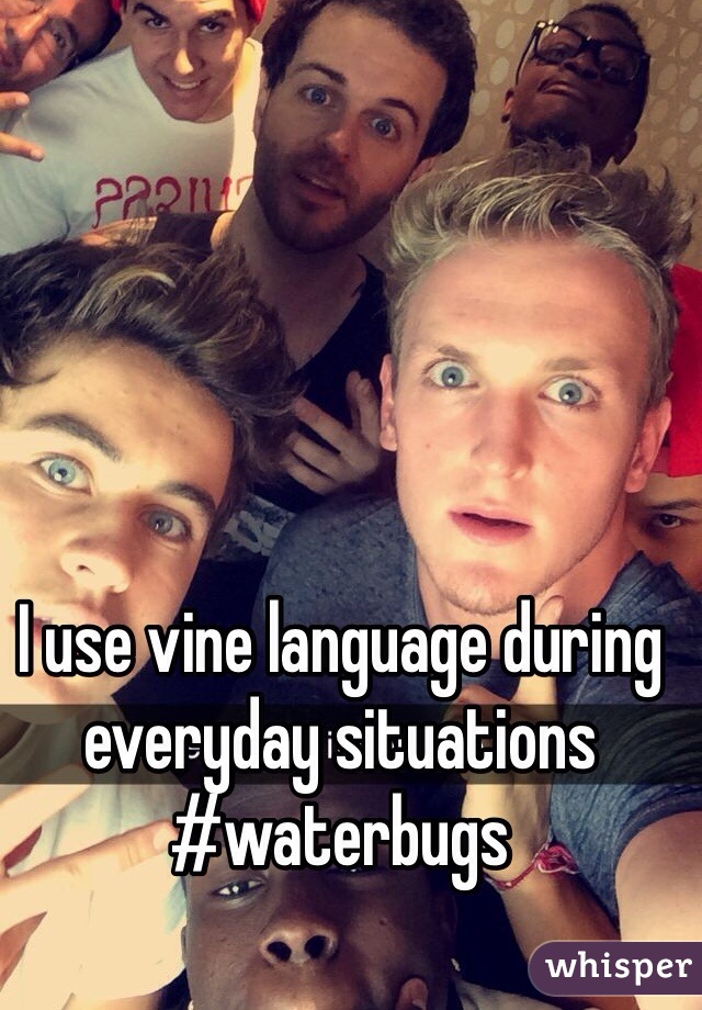 I use vine language during everyday situations #waterbugs