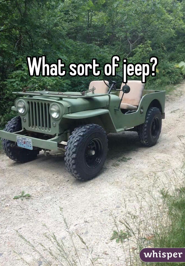 What sort of jeep?