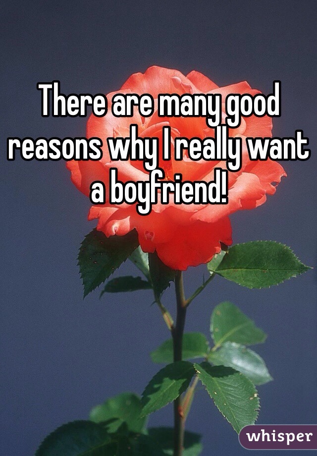 There are many good reasons why I really want a boyfriend!