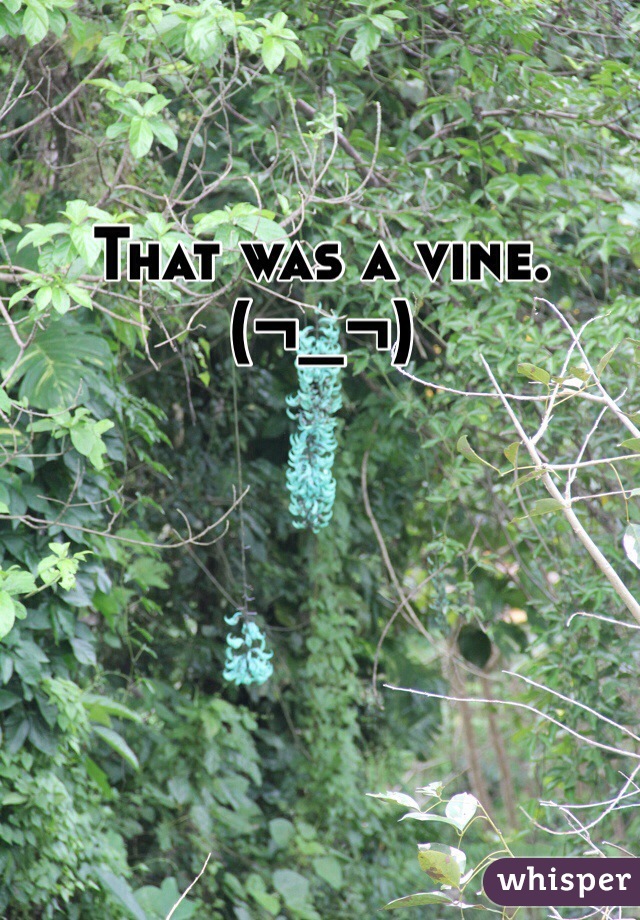 That was a vine. (¬_¬)