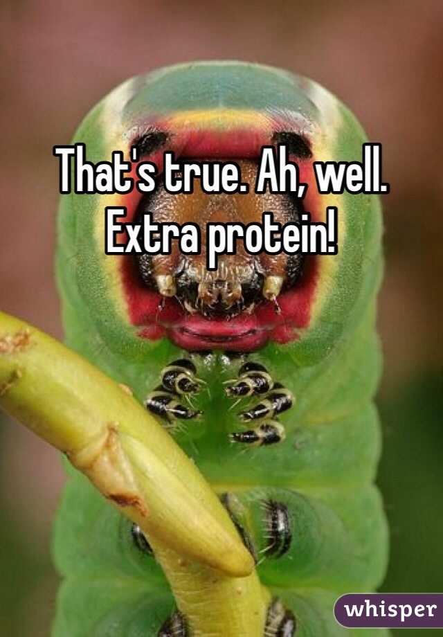 That's true. Ah, well. Extra protein!