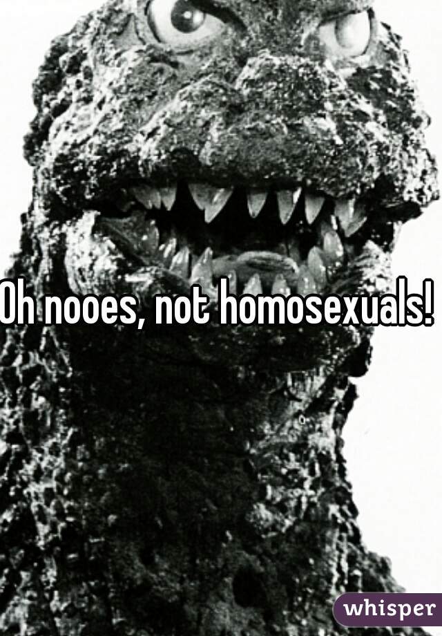 Oh nooes, not homosexuals! 