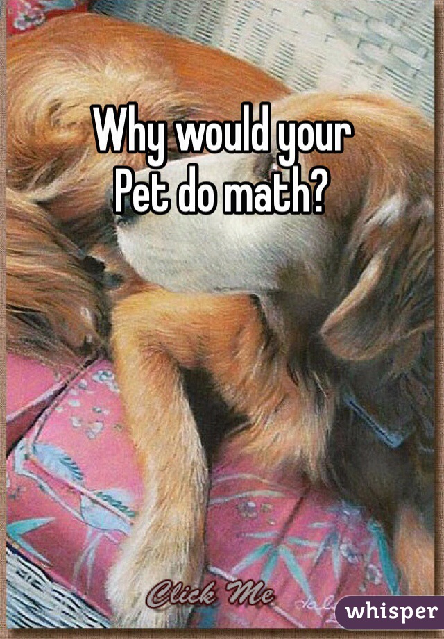 Why would your
Pet do math?