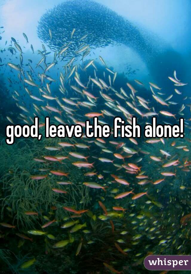 good, leave the fish alone!