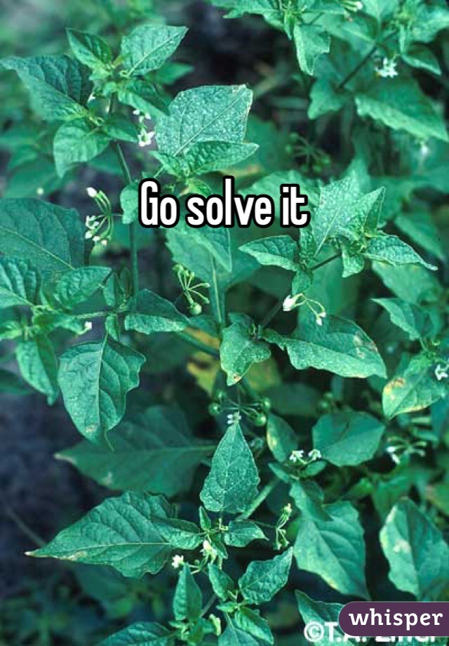 Go solve it