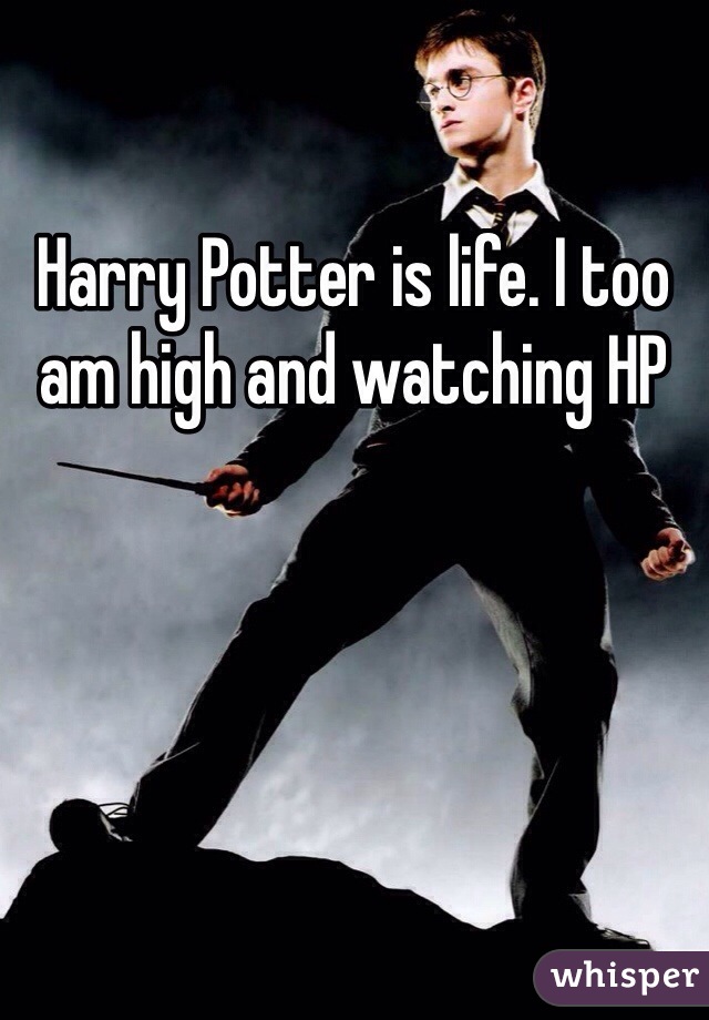 Harry Potter is life. I too am high and watching HP