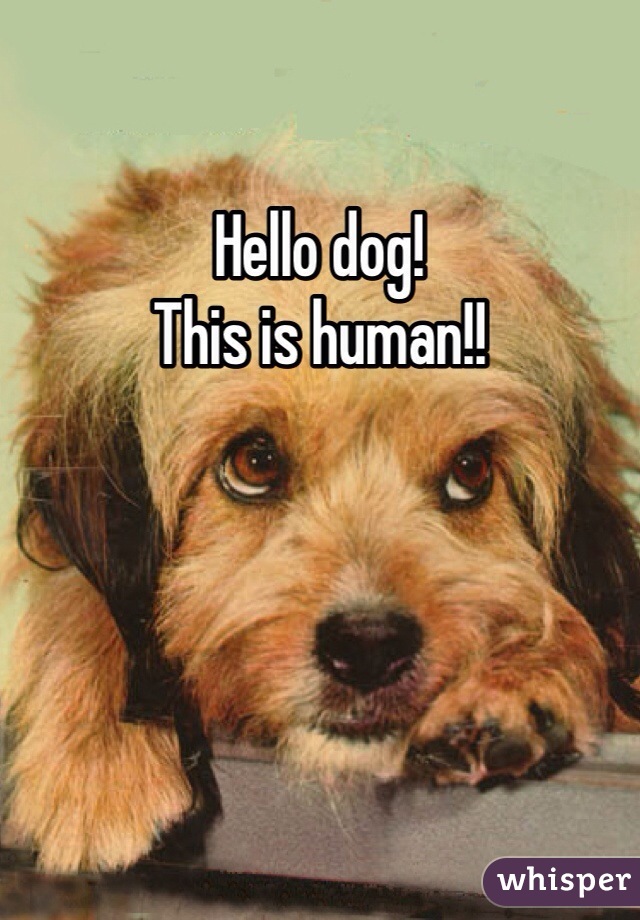 Hello dog! 
This is human!!