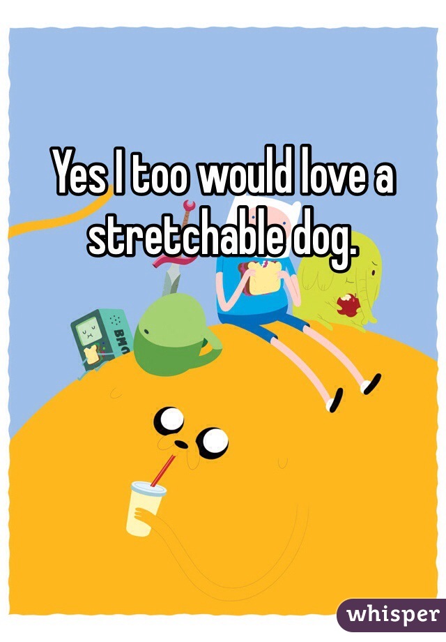 Yes I too would love a stretchable dog. 