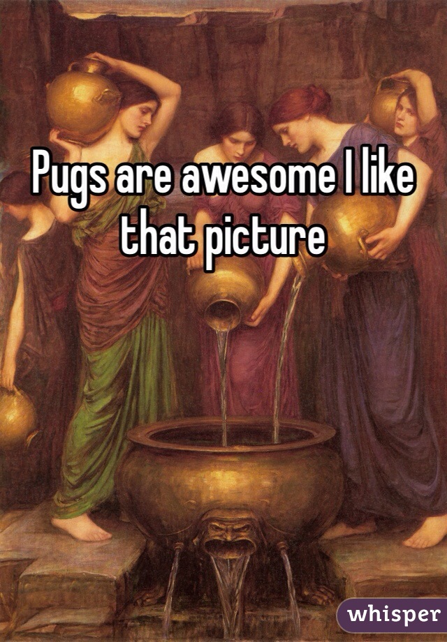 Pugs are awesome I like that picture