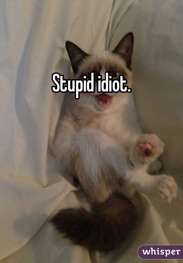Stupid idiot.